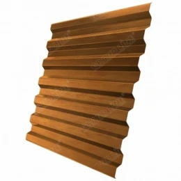 Профнастил С21 Golden Dub 0.45 мм Print Twincolor Grand Line