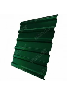 Профнастил С20 RAL 6005 зелёный мох 0.5 мм Polydexter Grand Line